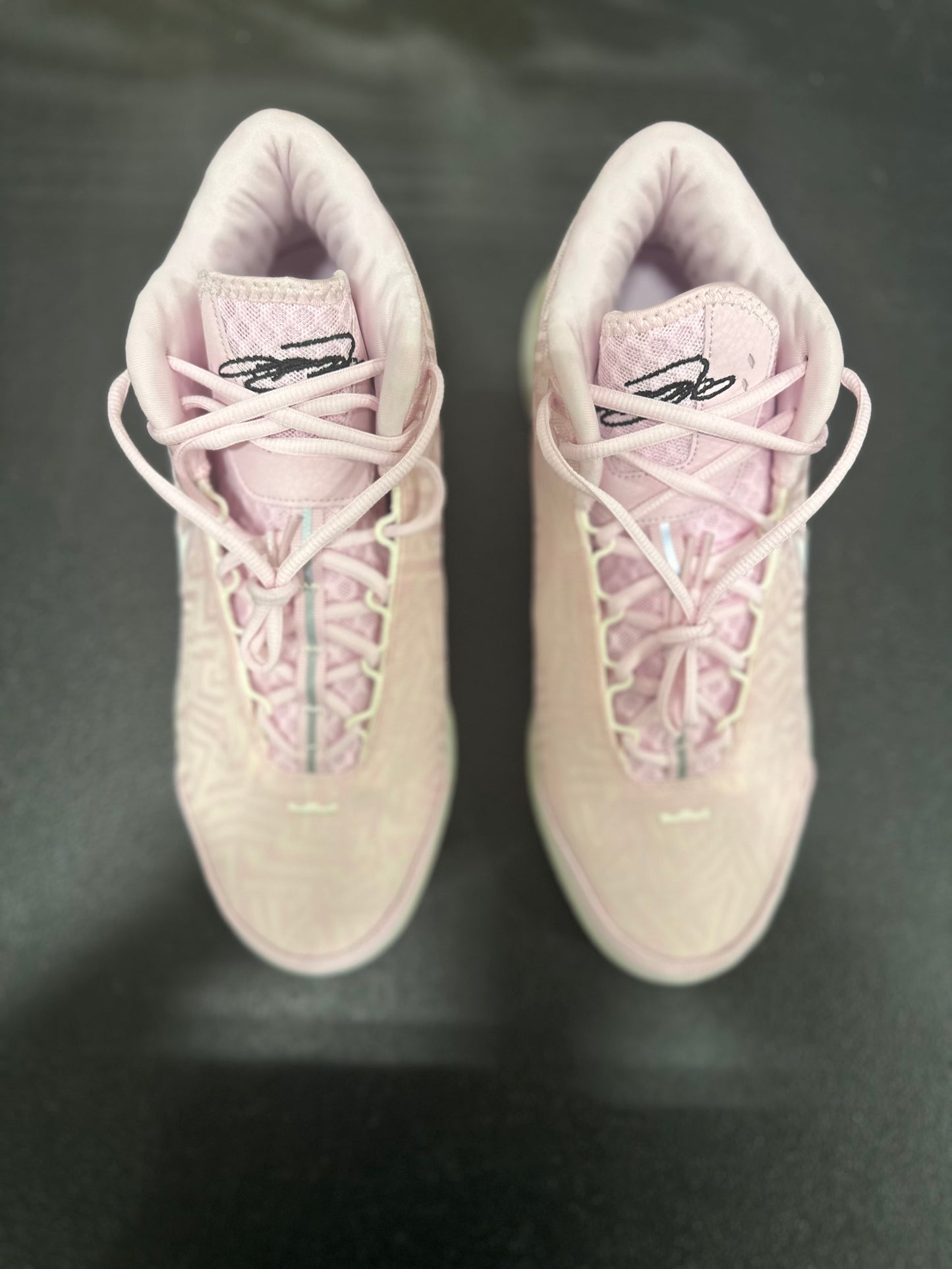 Nike Zoom LeBron NXXT Genisus Pink Foam Sail (Translucent Outsole)