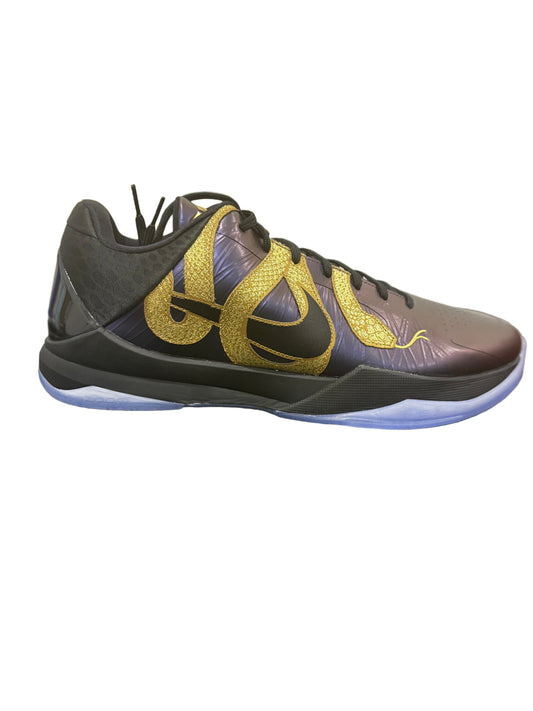 Nike Kobe 5 Protro Year of the Mamba Eggplant