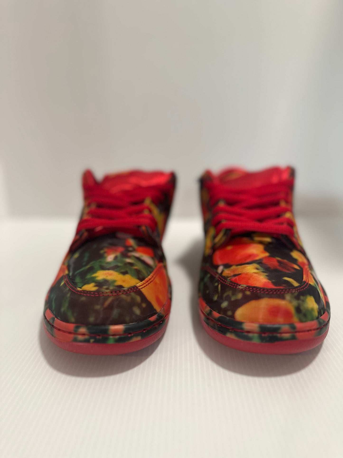 Nike SB Dunk Low The Wizard of Oz Poppy Field